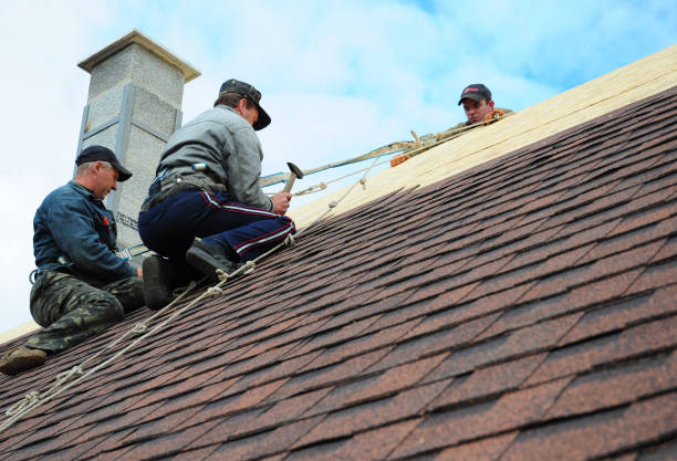 Best Roof Maintenance Services  in Woodcreek, TX