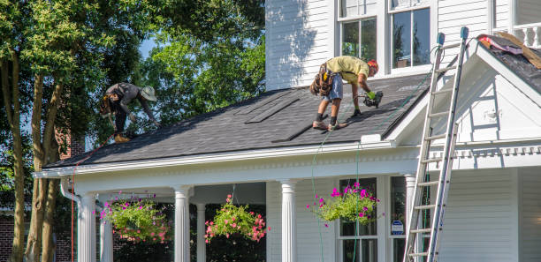 Roof Gutter Cleaning in Woodcreek, TX
